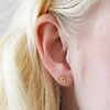 Group Shot of Tiny Birth Flower Stud Earrings in Gold