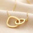 Close up of Organic Interlocking Hoops Necklace in Gold on top of beige coloured fabric