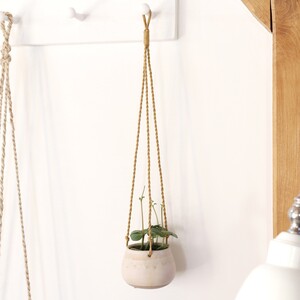 Small Natural 11cm Hanging Planter