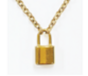 Stainless Steel Gold Padlock Necklace